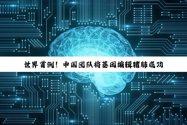 世界首例！中国团队将基因编辑猪肺成功移植人体