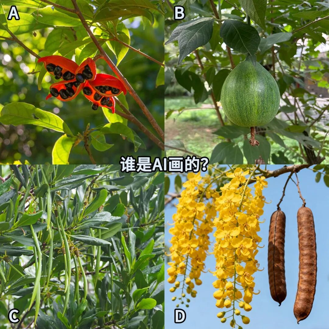 图(tú)片(piàn)